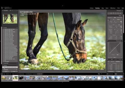 Lightroom tipy: virtuální kopie