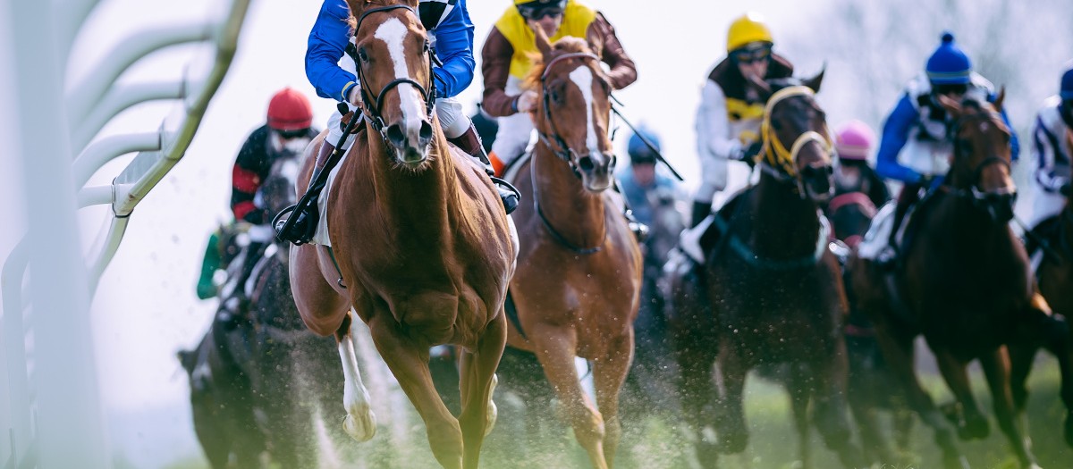 88. Gomba Handicap
