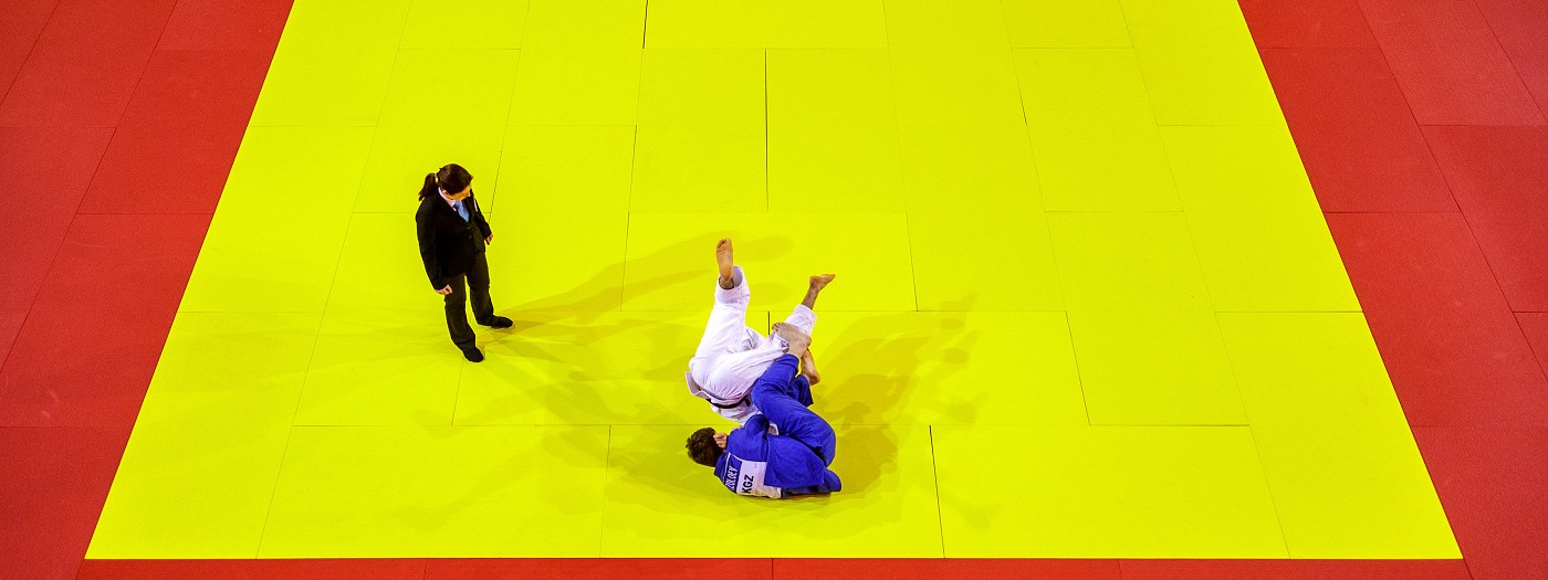 Judo in geometry